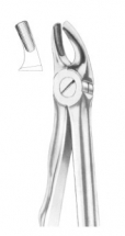  Fig. 39 upper incisors for children 